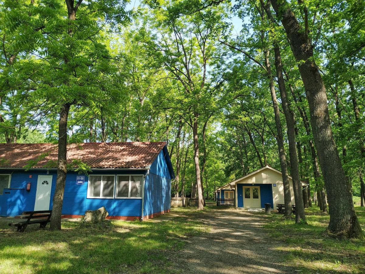 Dorcas Center&Camping Debrecen Exterior photo